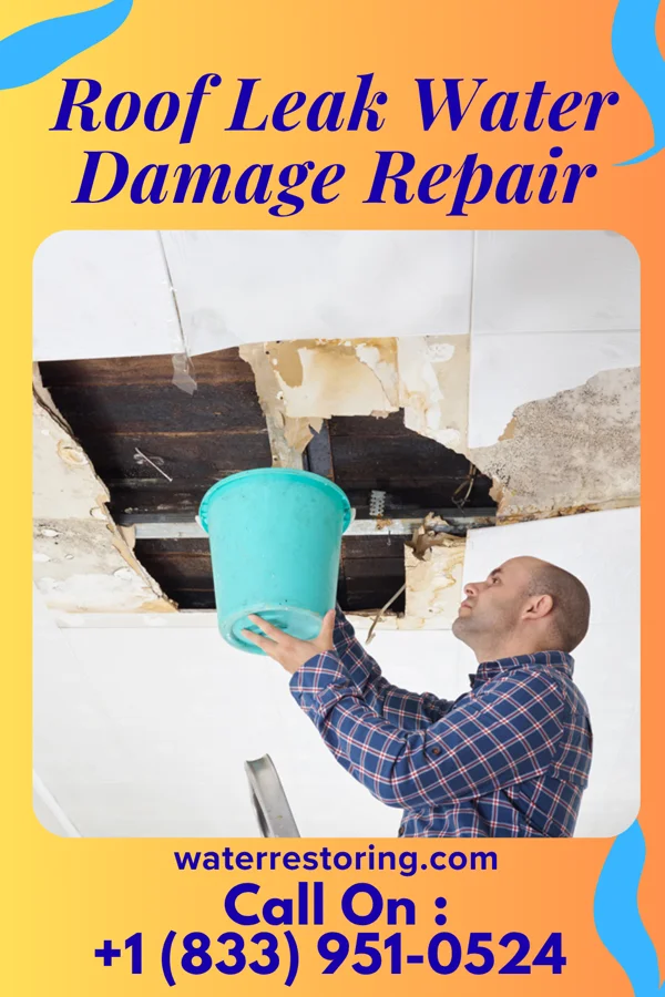 Roof Leak Water Damage Repair in Covington, WA